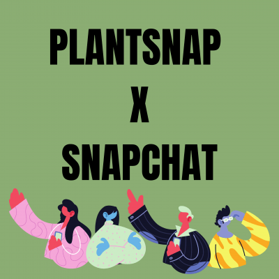 snapchat plant recognition via plantsnap