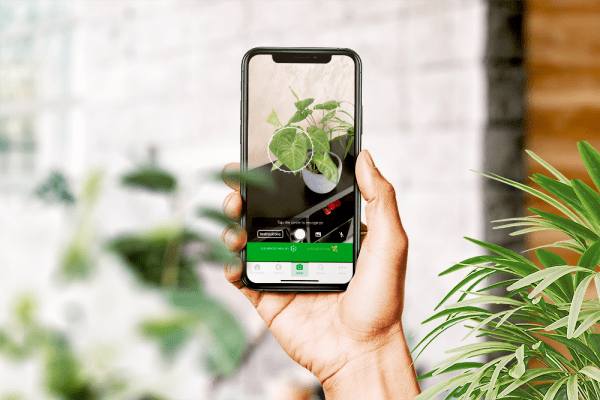 Eden Tech Labs build the most popular plant identification native mobile app